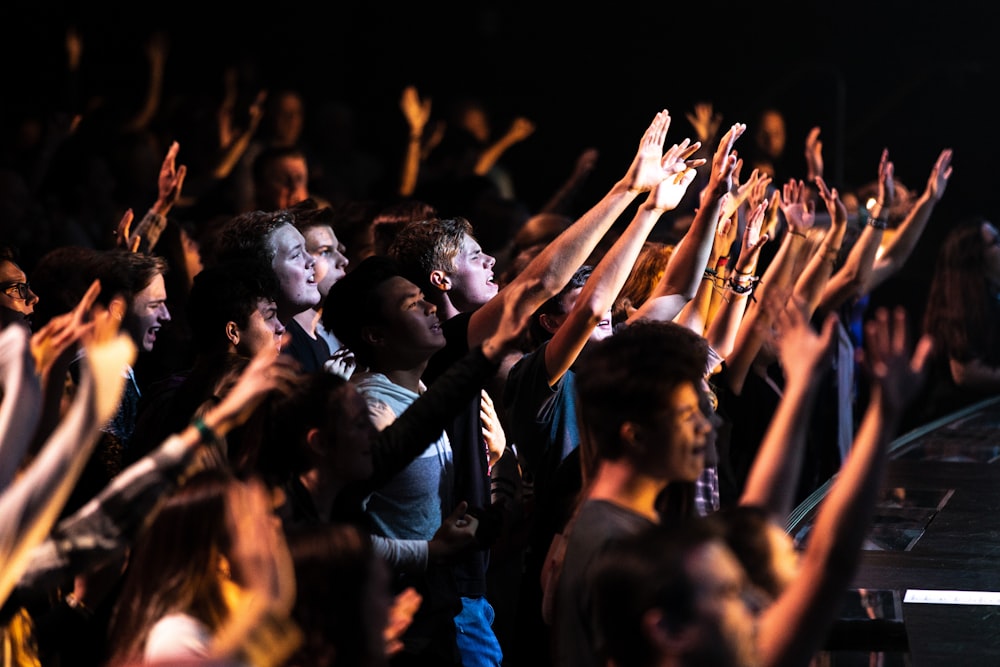 people raising their hands during night time