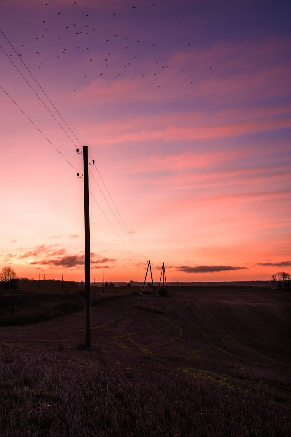 silhouette of electric post during sunset