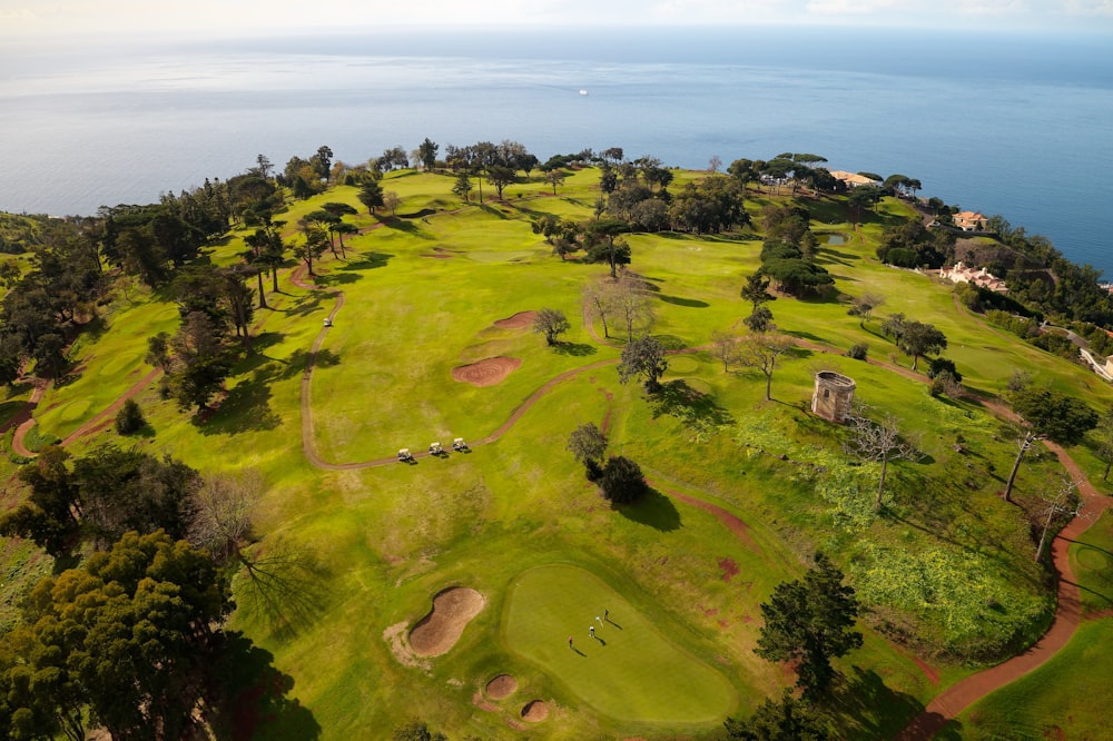 aerial view of green grass field near body of water during daytime