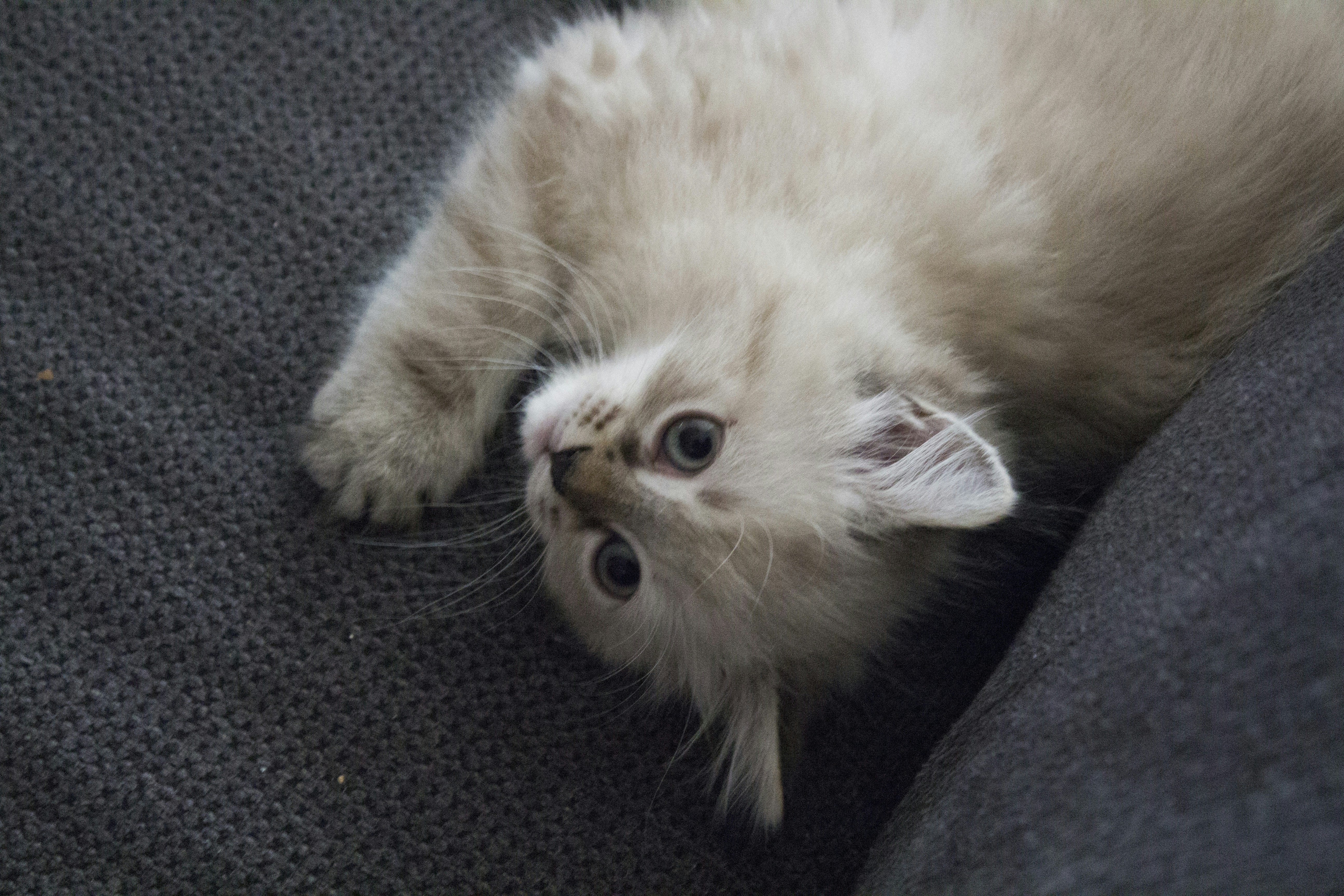 Photo by wackeltin_meem