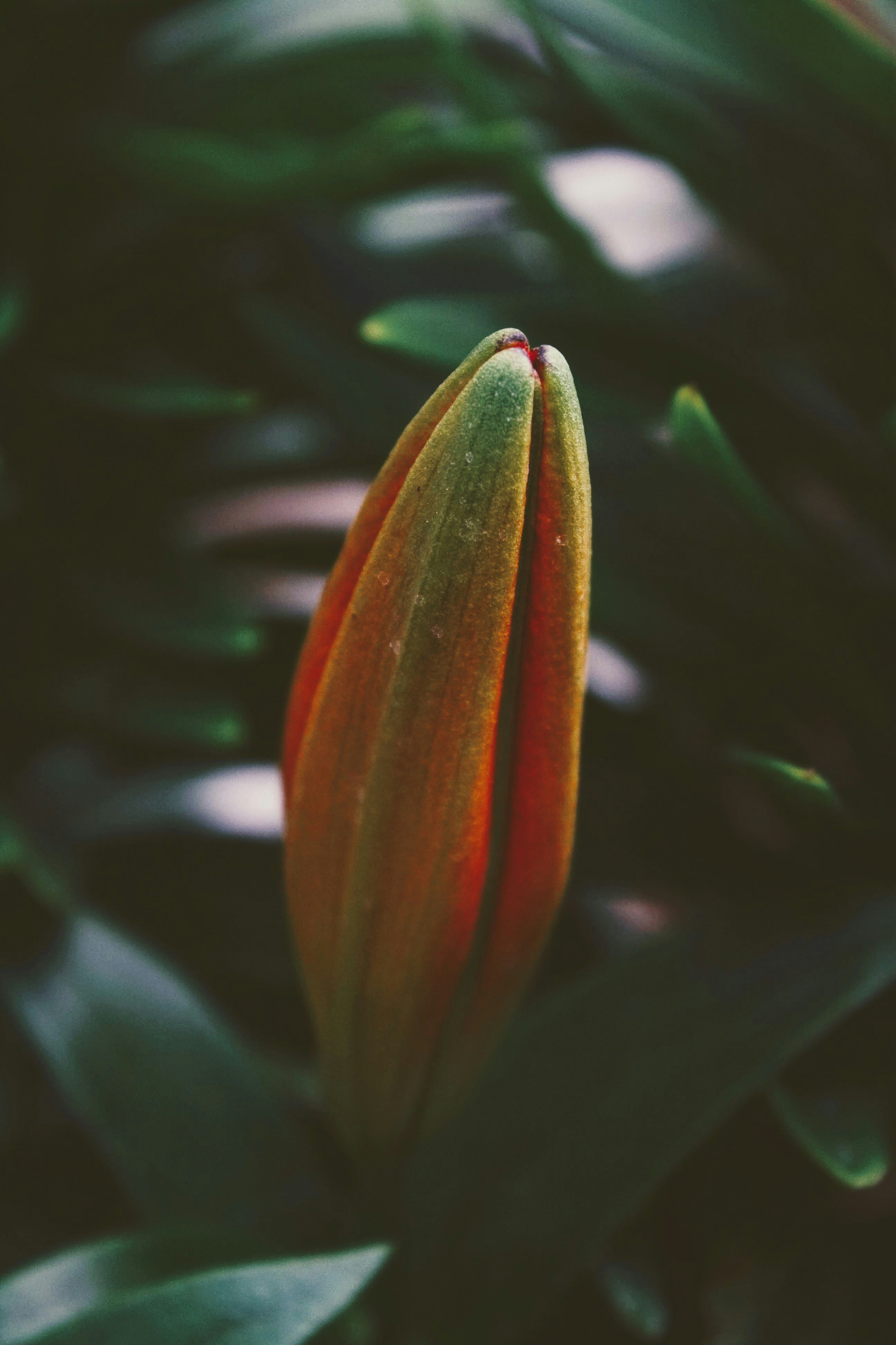 Photo by thelaibaali