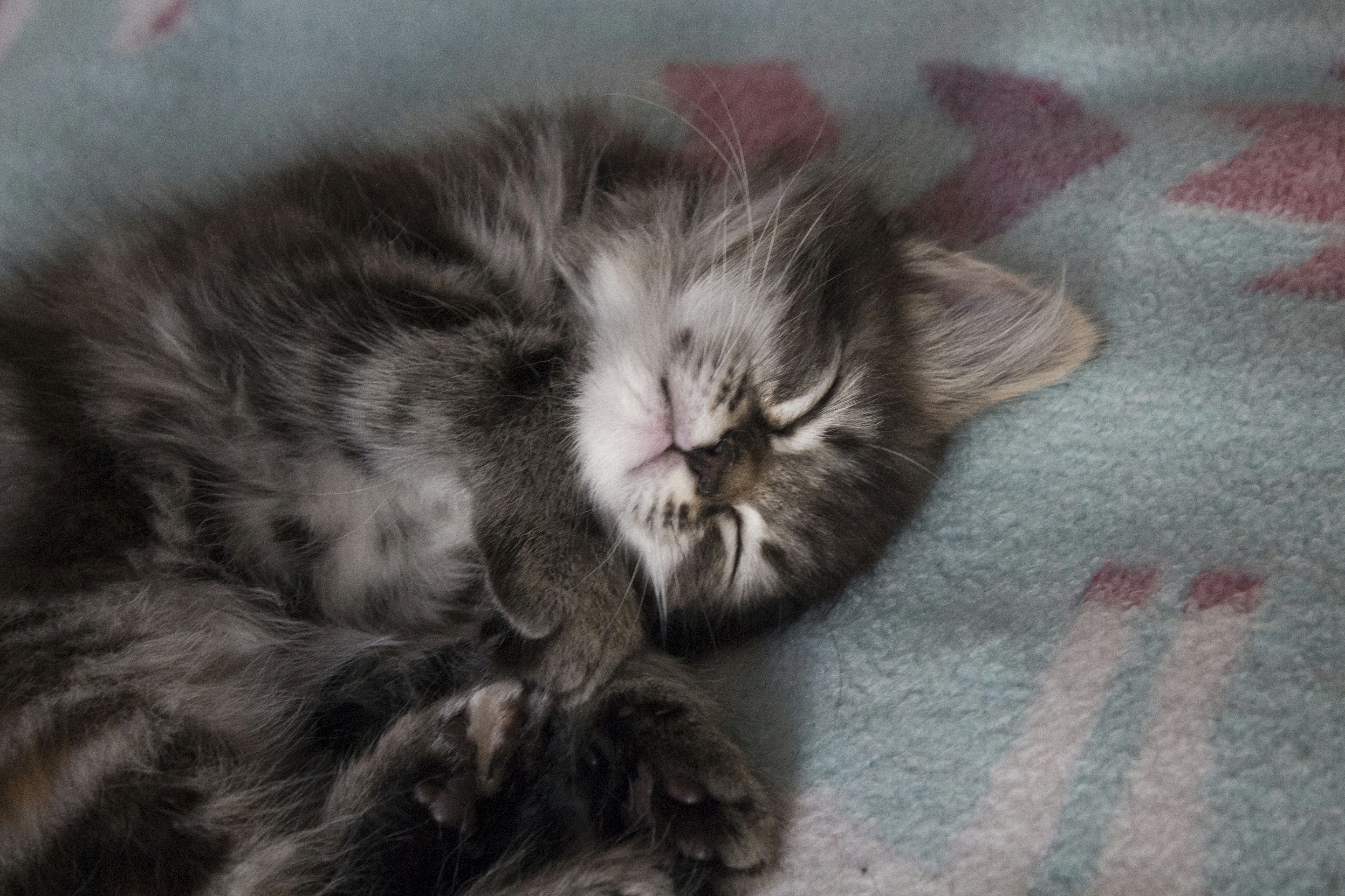 Photo by wackeltin_meem