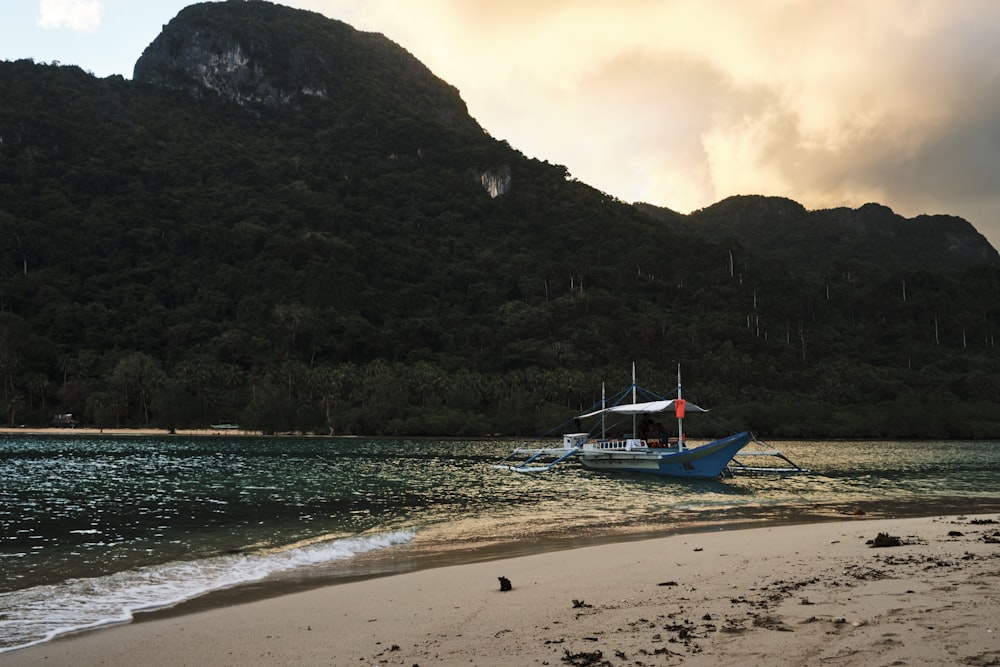 blue and white boat on shore during daytime