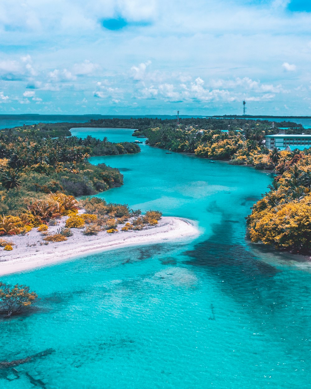 green trees beside blue sea under blue sky during daytime