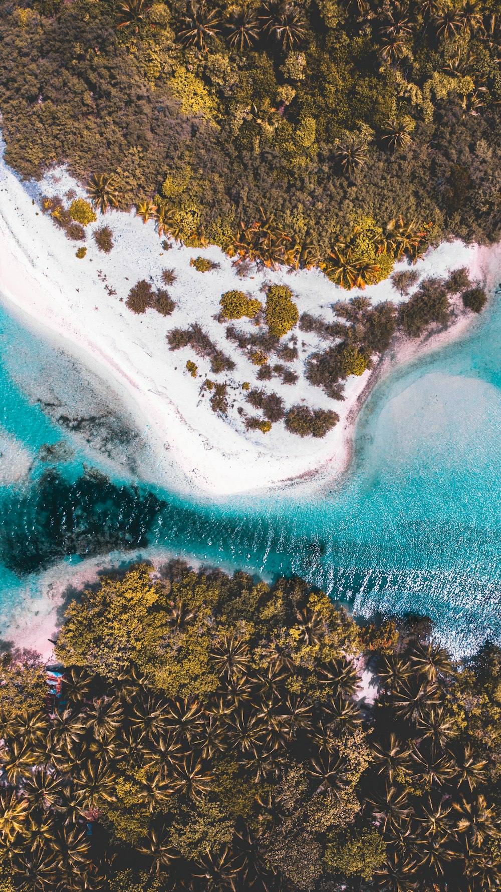 aerial view of green trees and blue sea during daytime