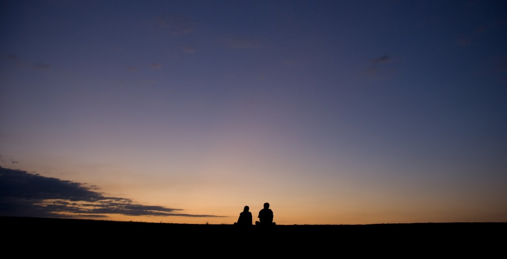 silhouette of 2 person standing on the ground during sunset