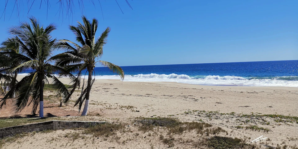 The image depicts a serene beach scene with two palm trees standing on either side of the frame, their fronds swaying gently in the breeze. The sandy beach stretches out towards the horizon, where it meets the deep blue ocean that lies ahead. The sky above is a clear blue, suggesting a bright and sunny day.