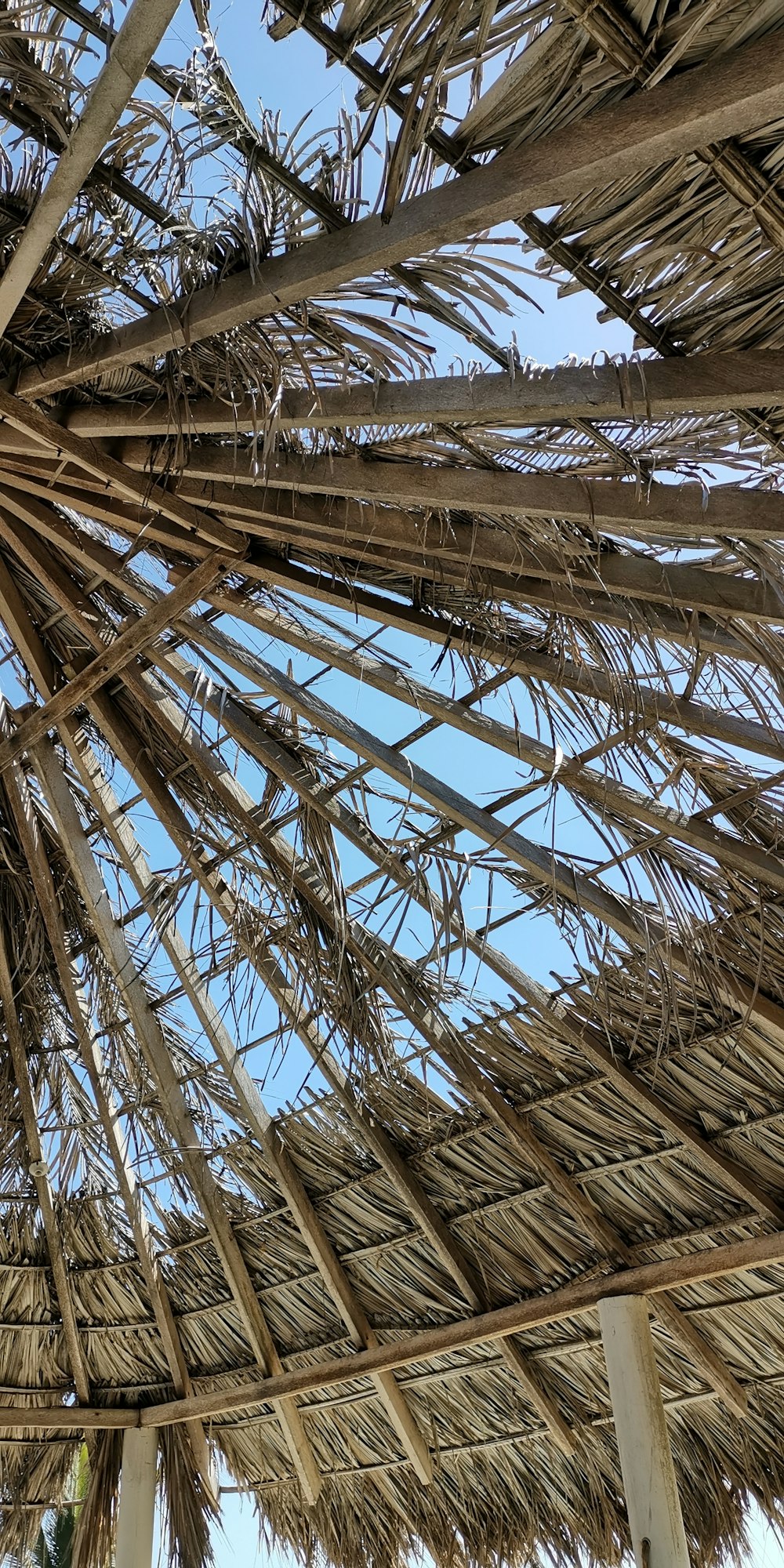 Cadre en bois brun pendant la journée