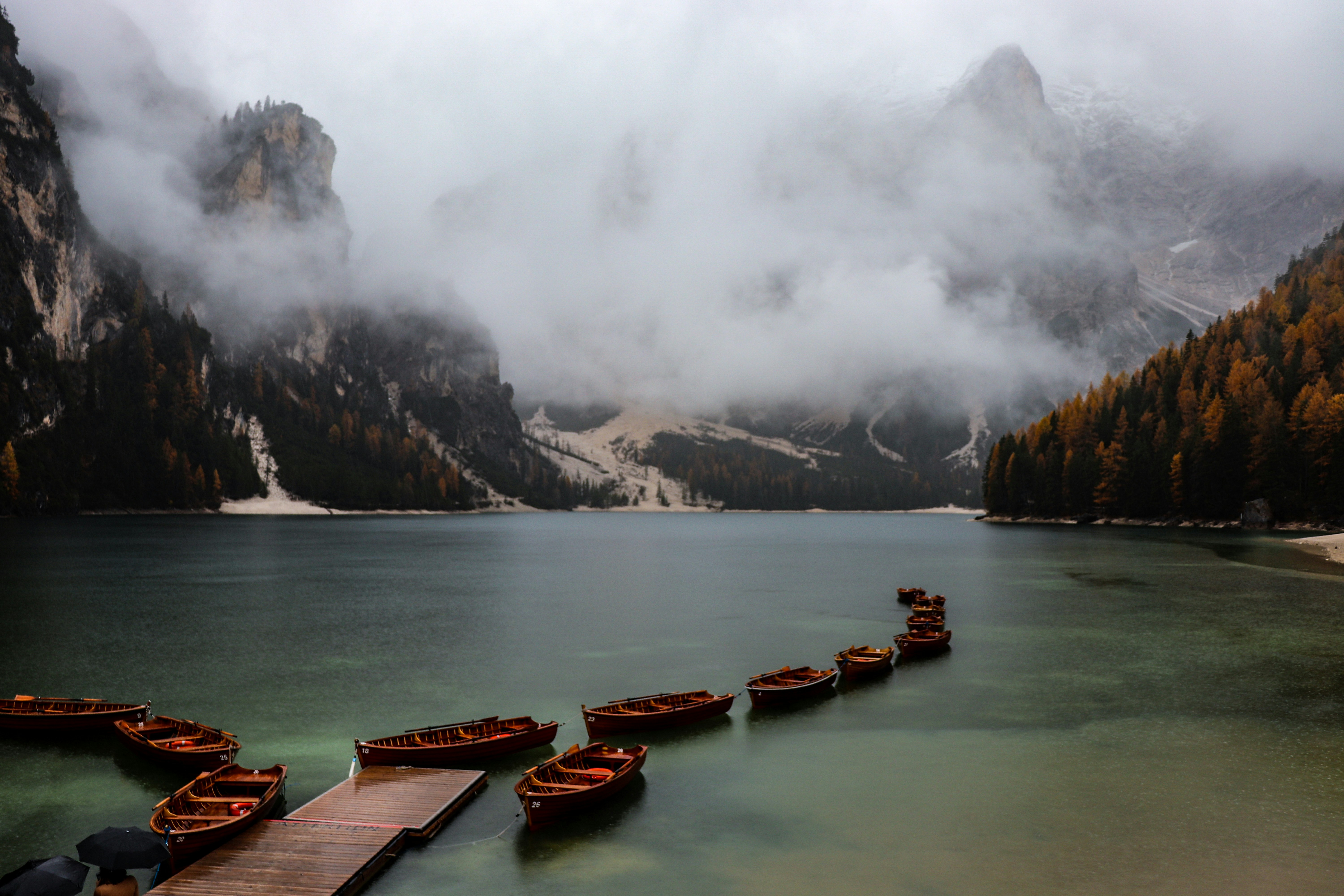 Photo by photomaker01