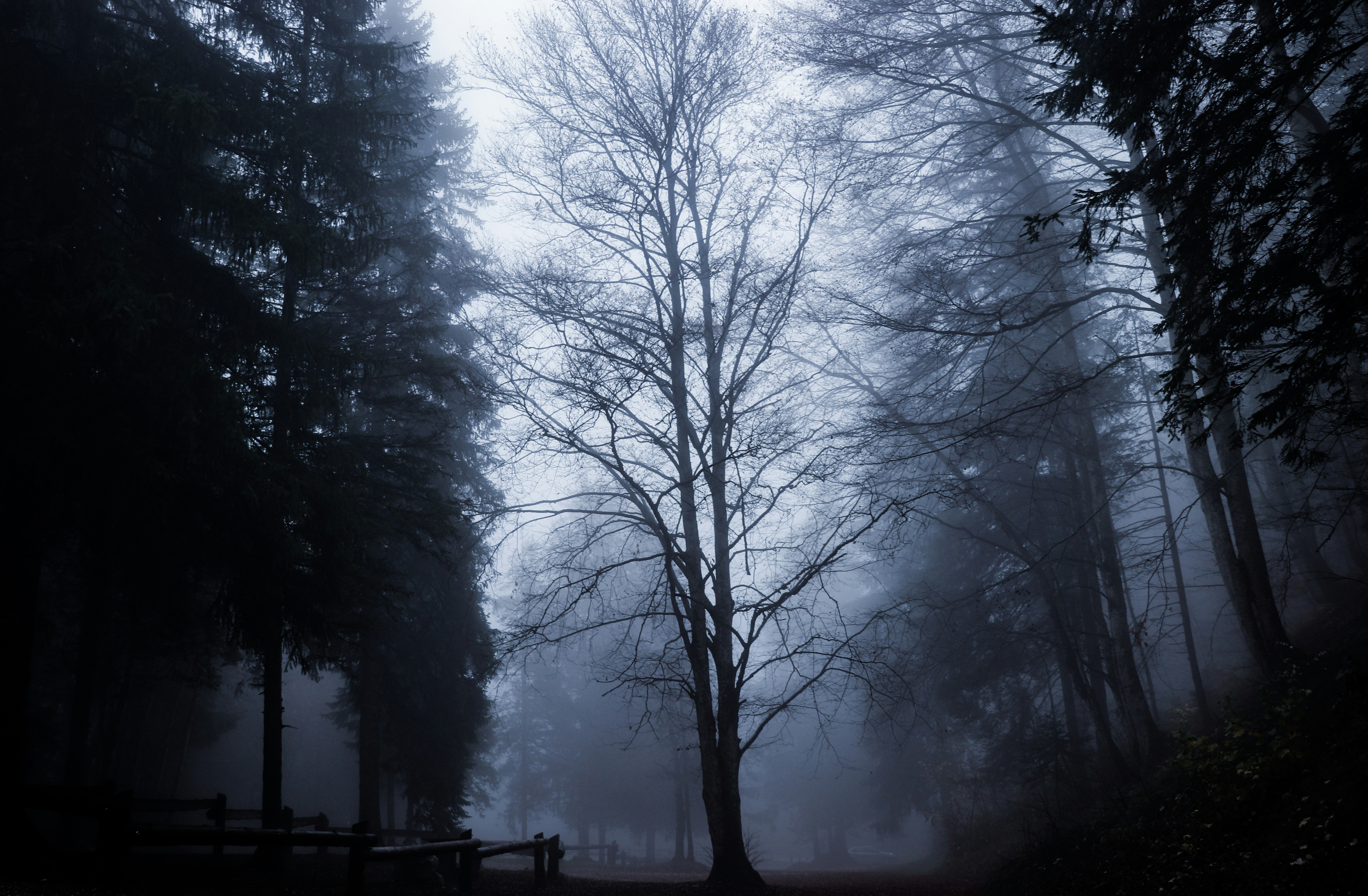 Photo by photomaker01