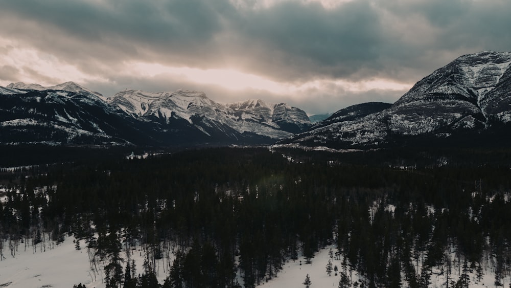 montagne enneigée près des arbres verts pendant la journée