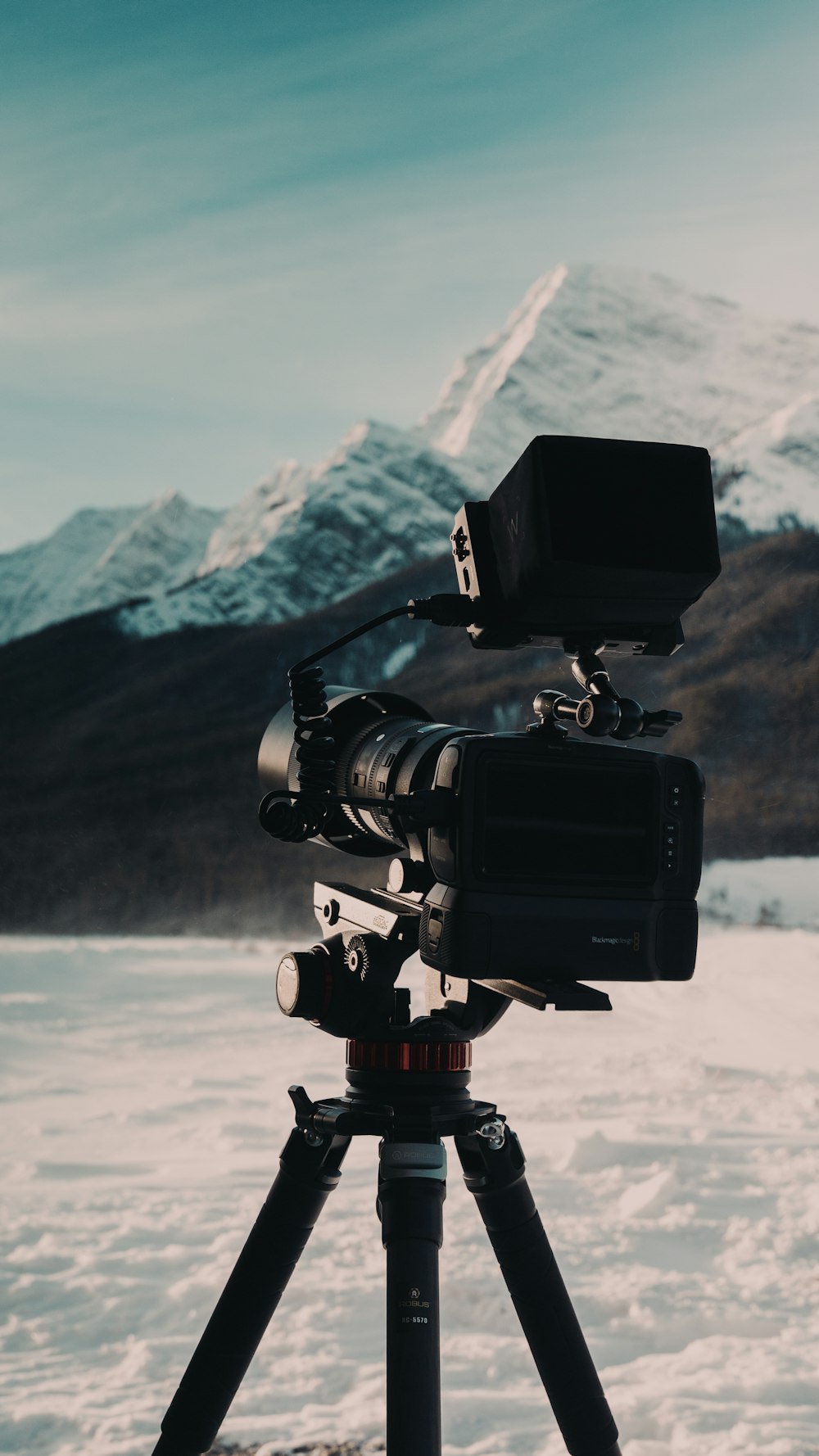 Nature Video Pictures Download Free Images on Unsplash Nature Video Pictures Download Free Images on Unsplash