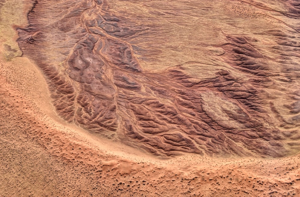 body of water during daytime