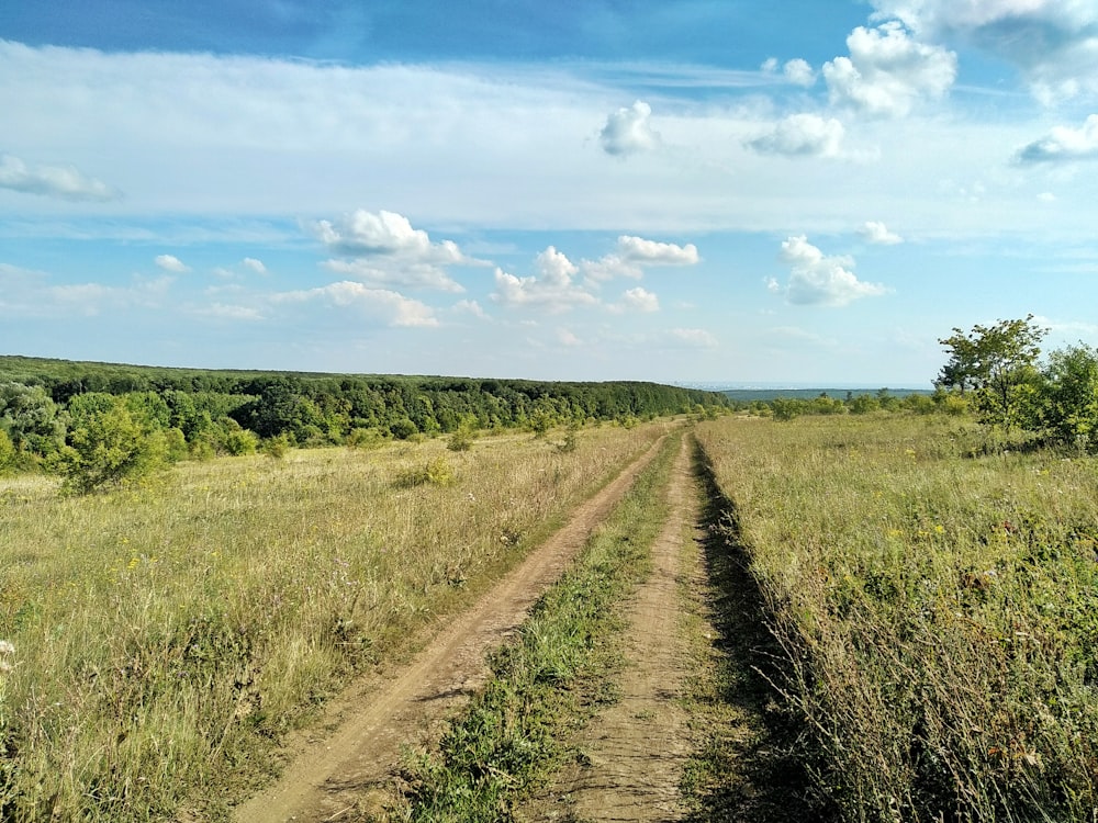 campo di erba verde sotto il cielo blu durante il giorno