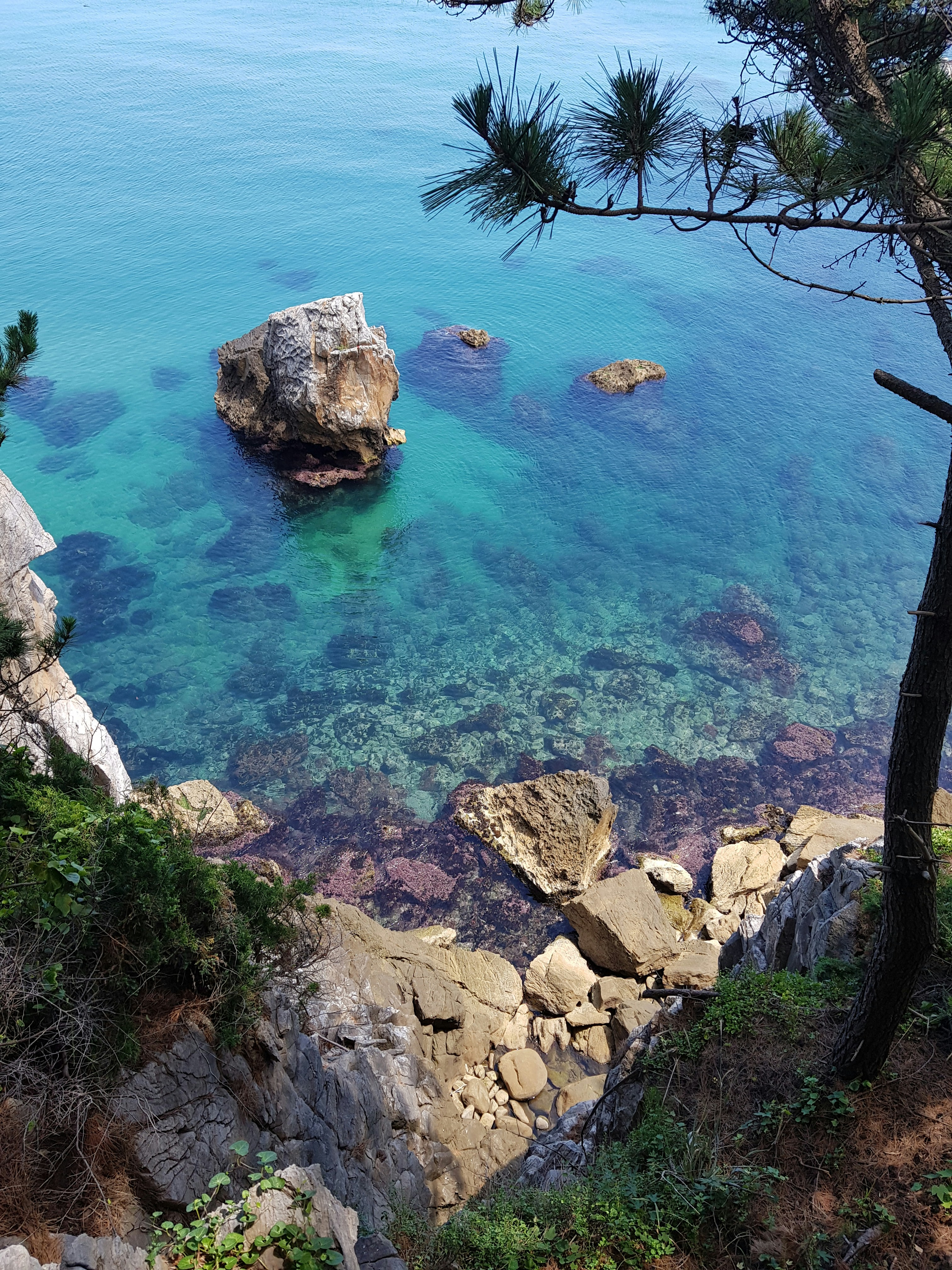 Photo by doctorfishlover