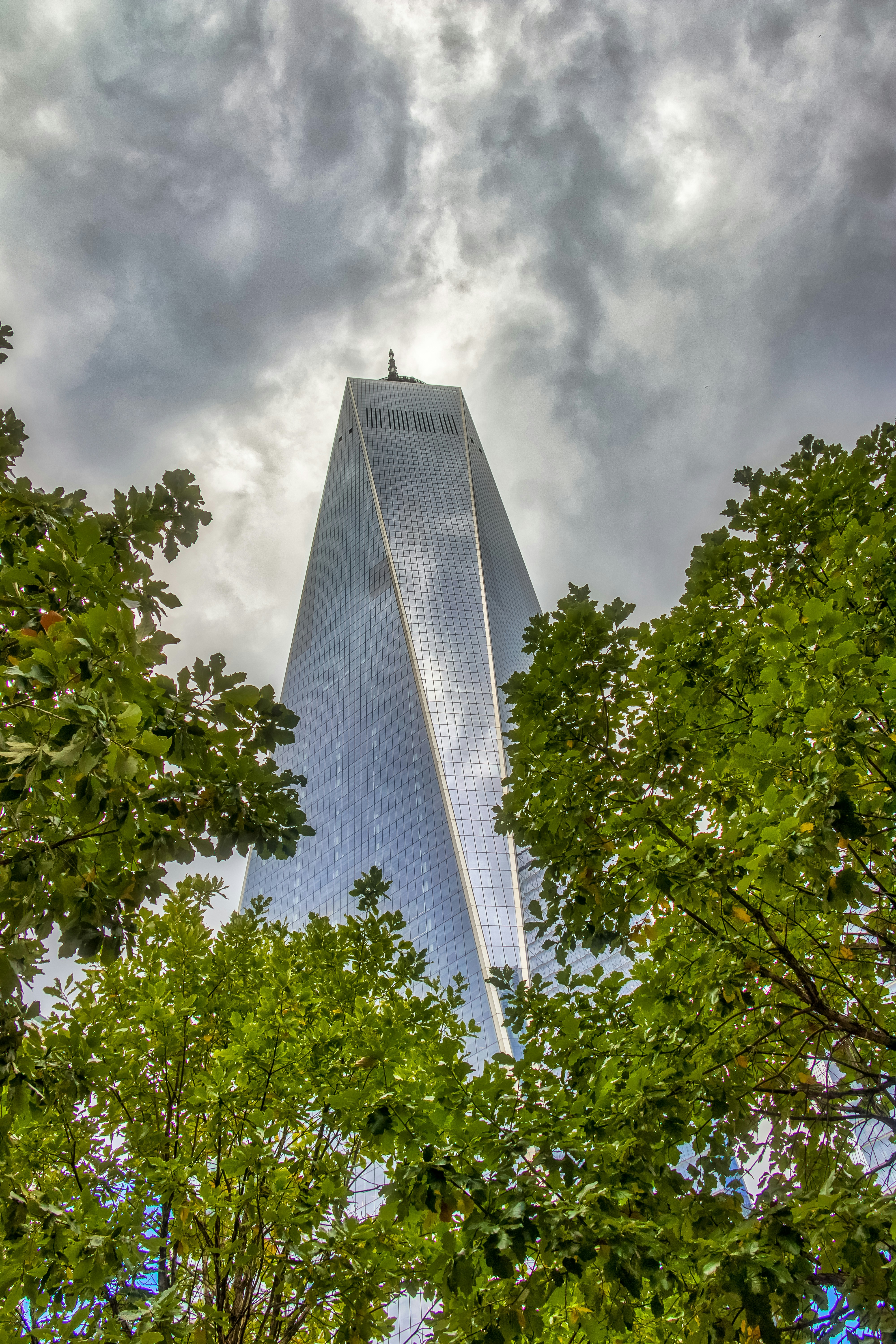 Market Insight for Manhattan: August 2024