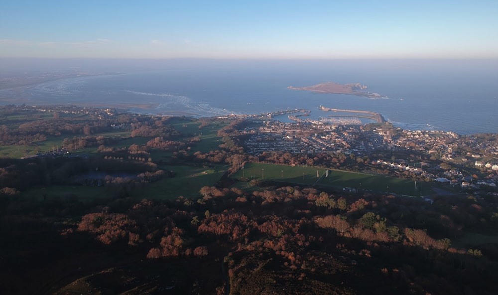 Vue aérienne d’un champ d’herbe verte pendant la journée