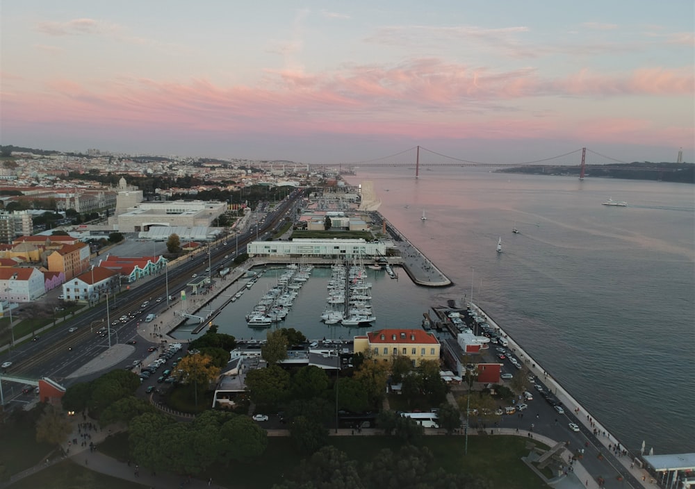 aerial view of city buildings near body of water during daytime