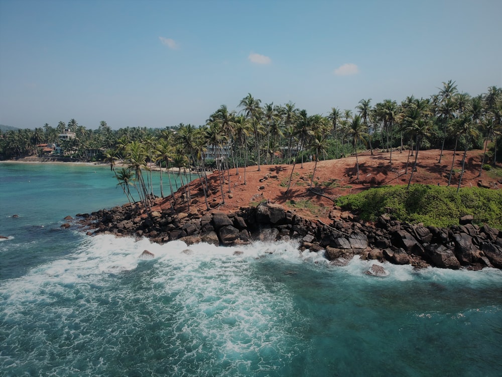 green trees on brown rocky shore during daytime