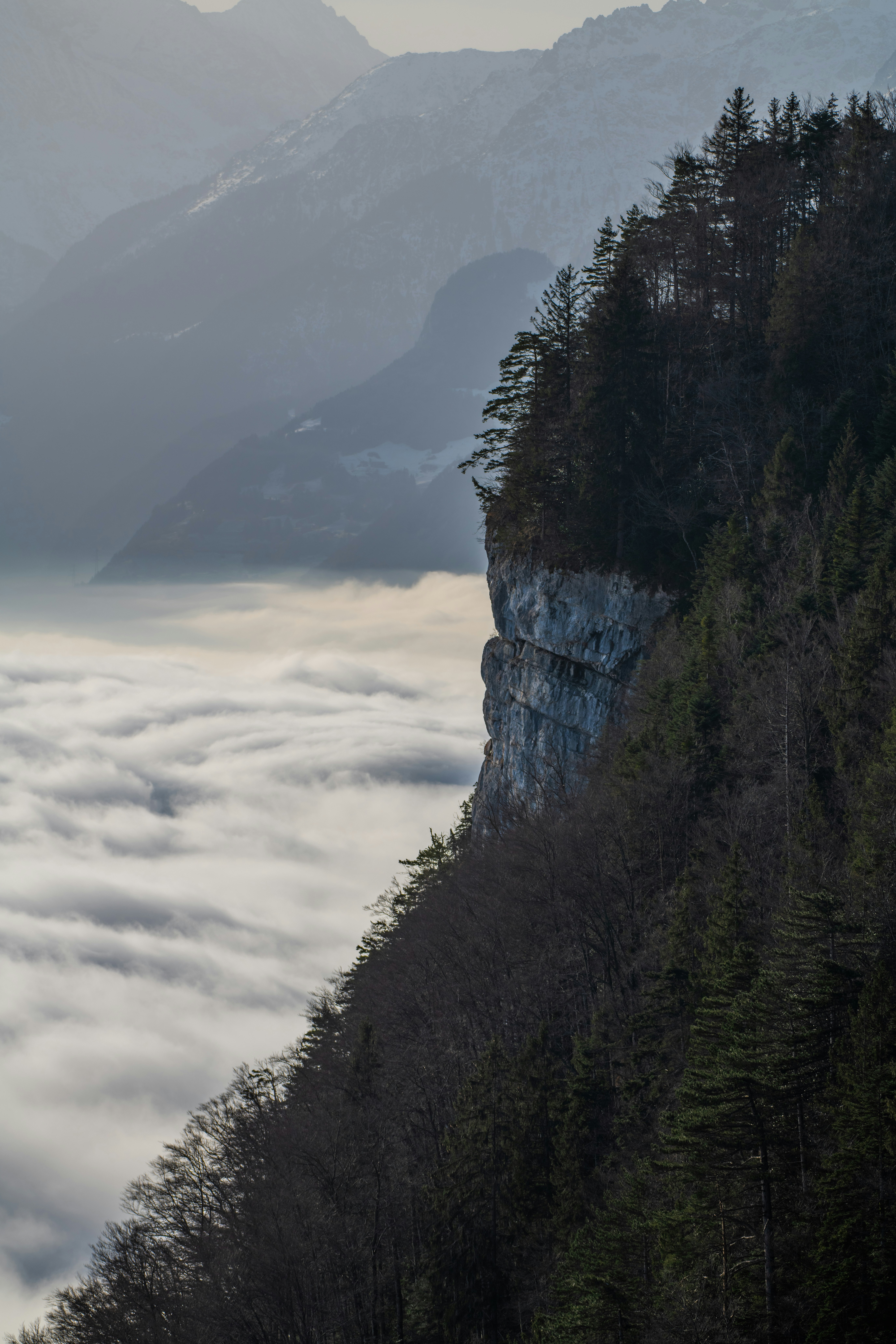 Fotografie Pictures | Download Free Images on Unsplash