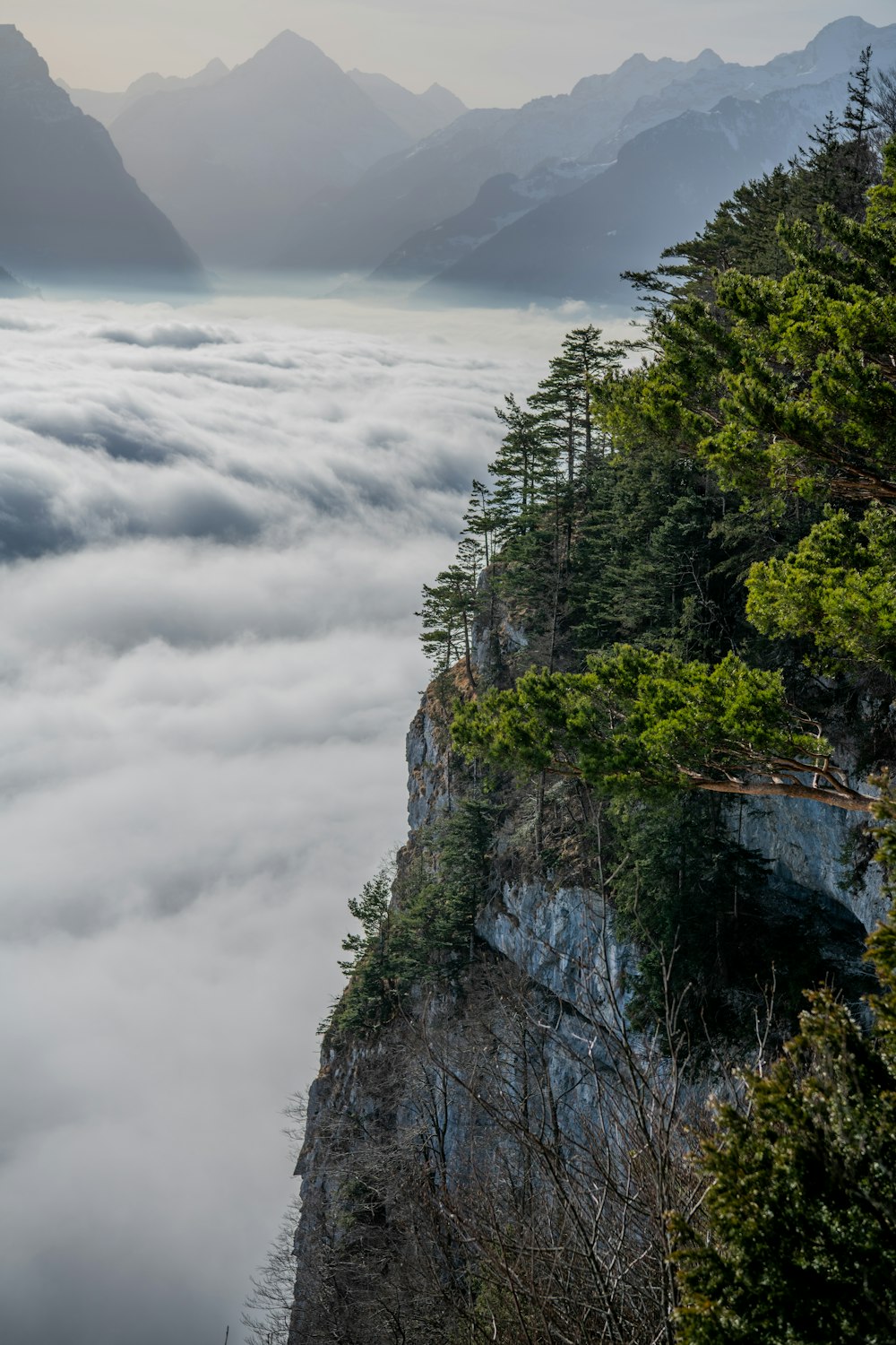 green trees on mountain under white clouds and blue sky during daytime