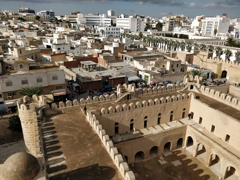 The Perfect One-Day Itinerary in Sidi Bou Said: Where to Go and When