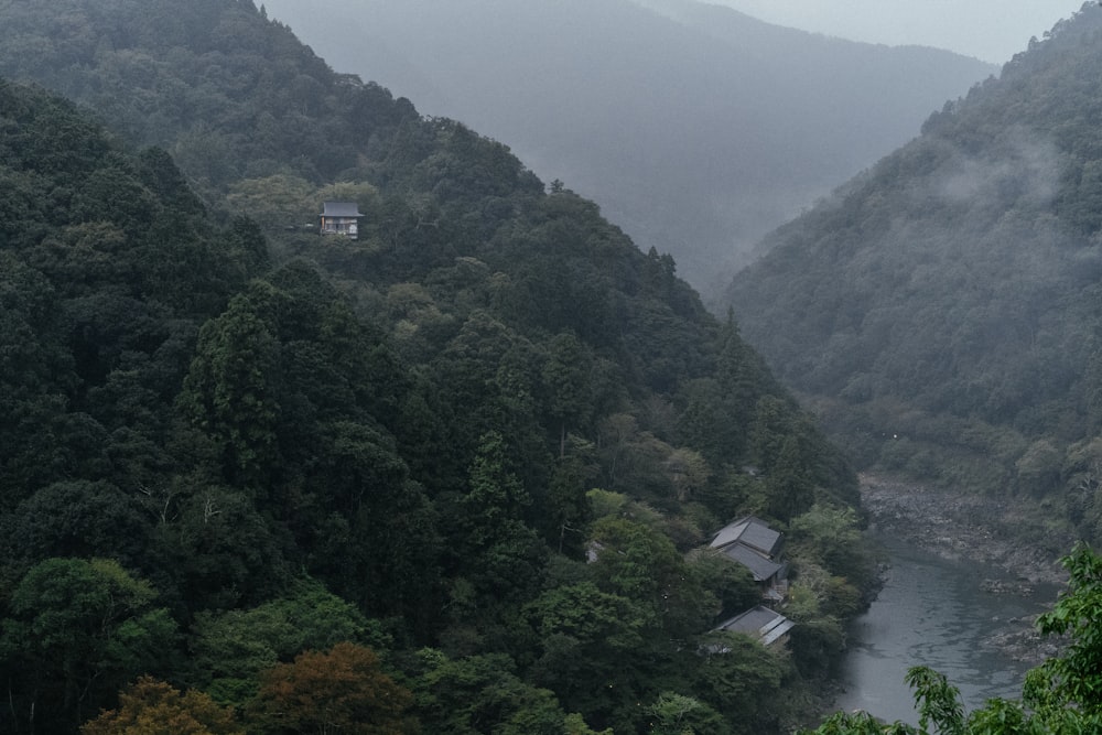 green trees on mountain during daytime