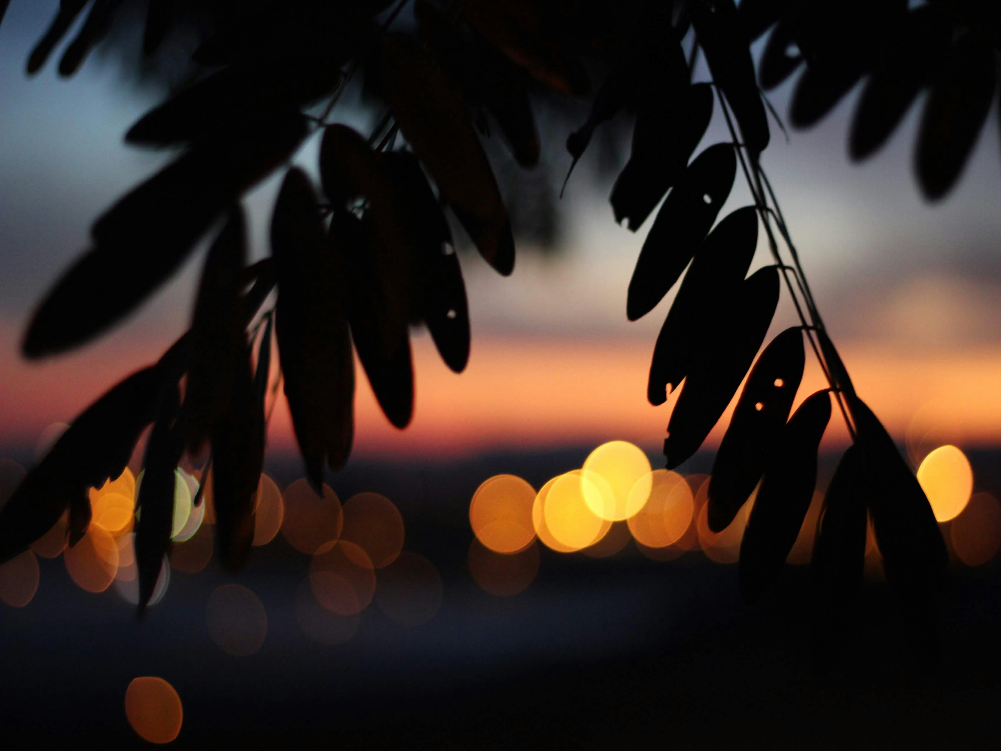 Photo by nathanareboucas