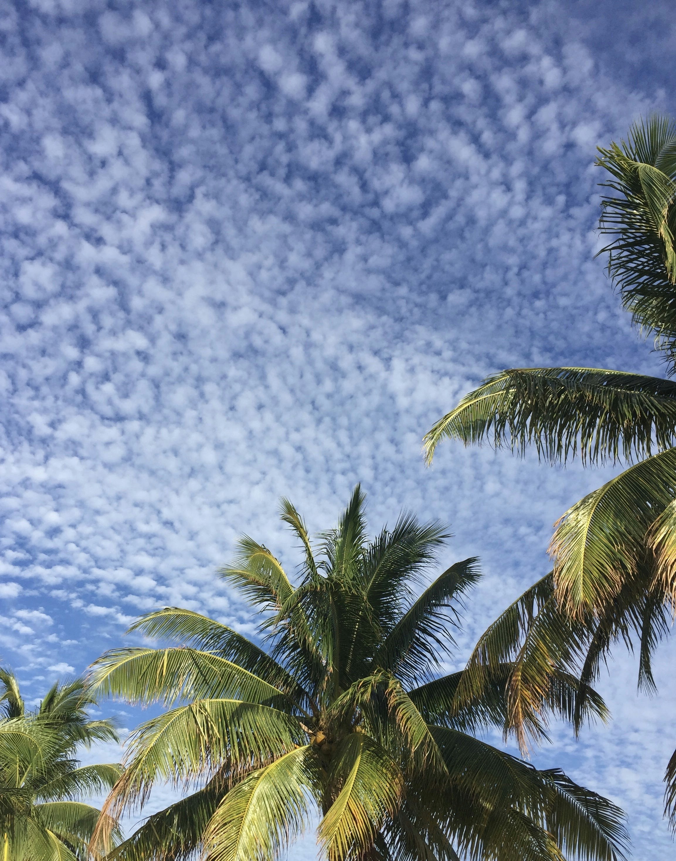 Photo by lindaknicely