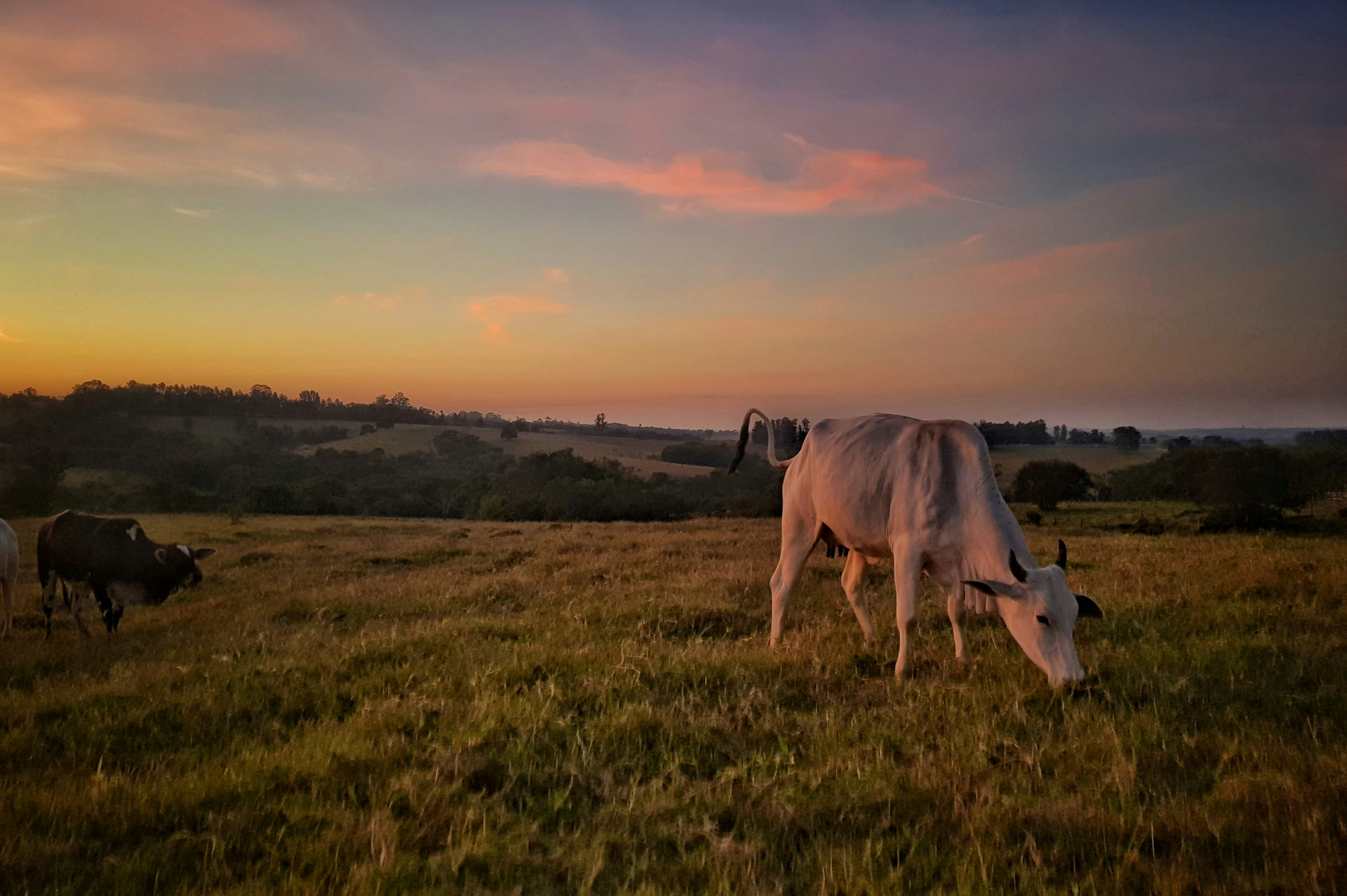 Photo by gabironcarate