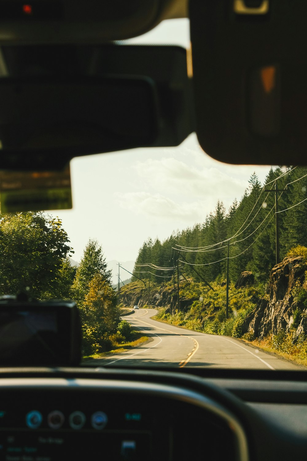 car on road between trees during daytime