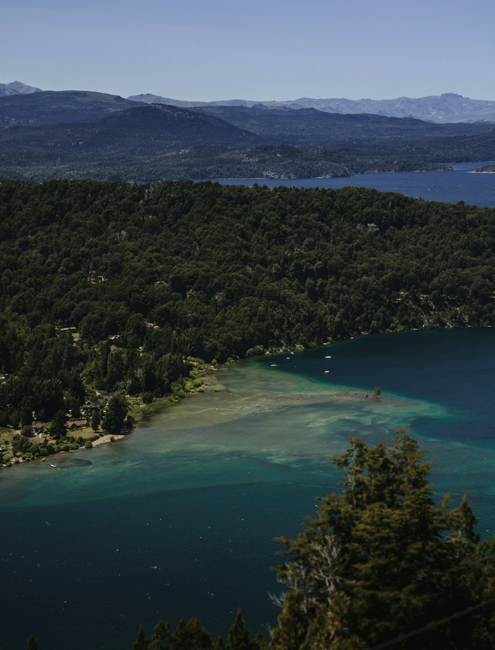 green trees near body of water during daytime