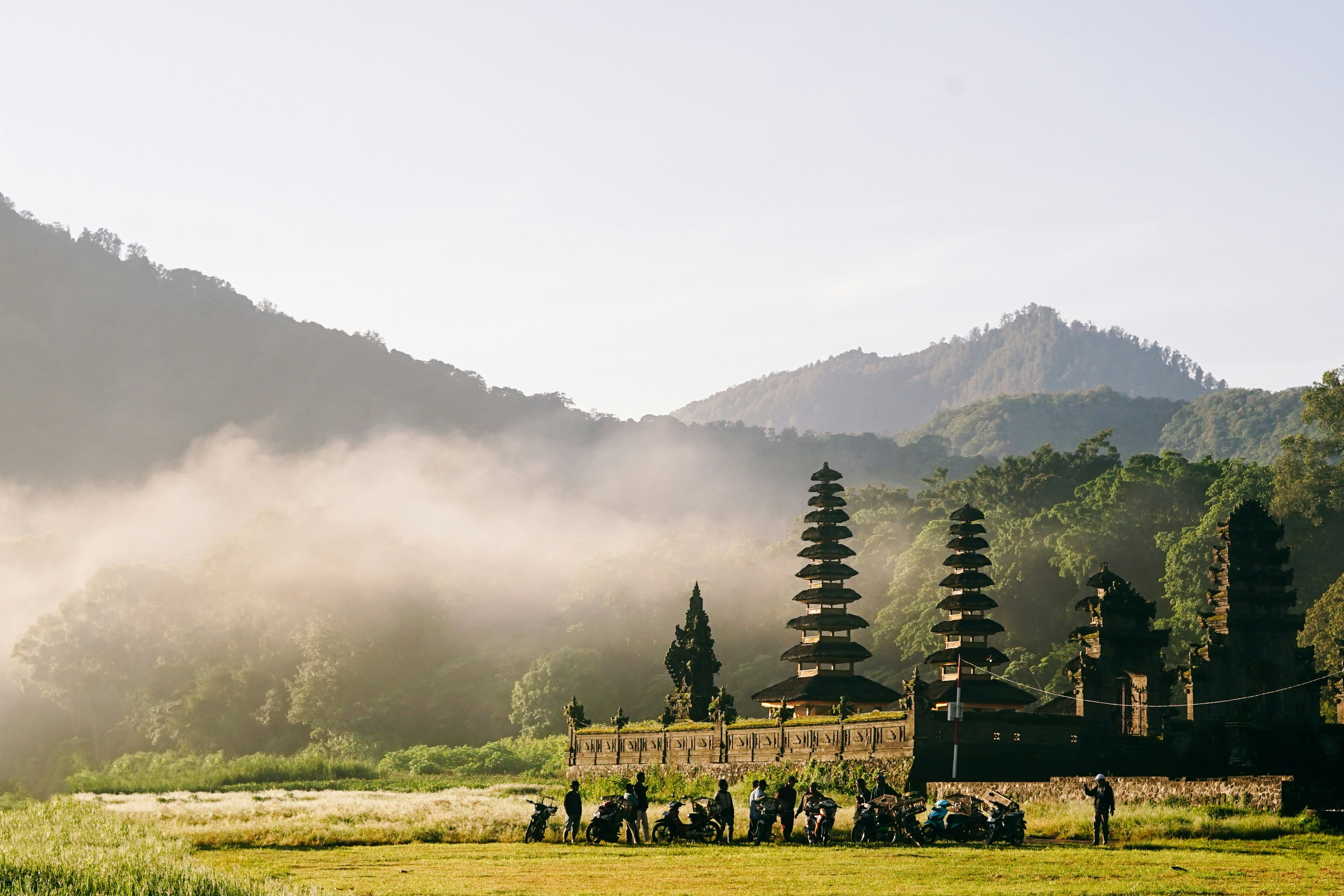 green trees on green grass field near mountain during daytime