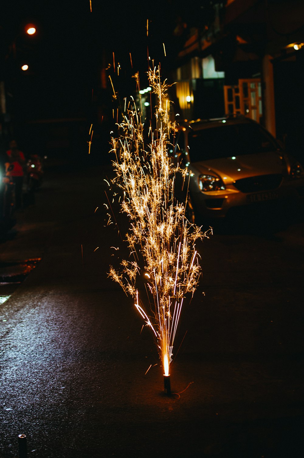 brown plant on gray asphalt road during night time