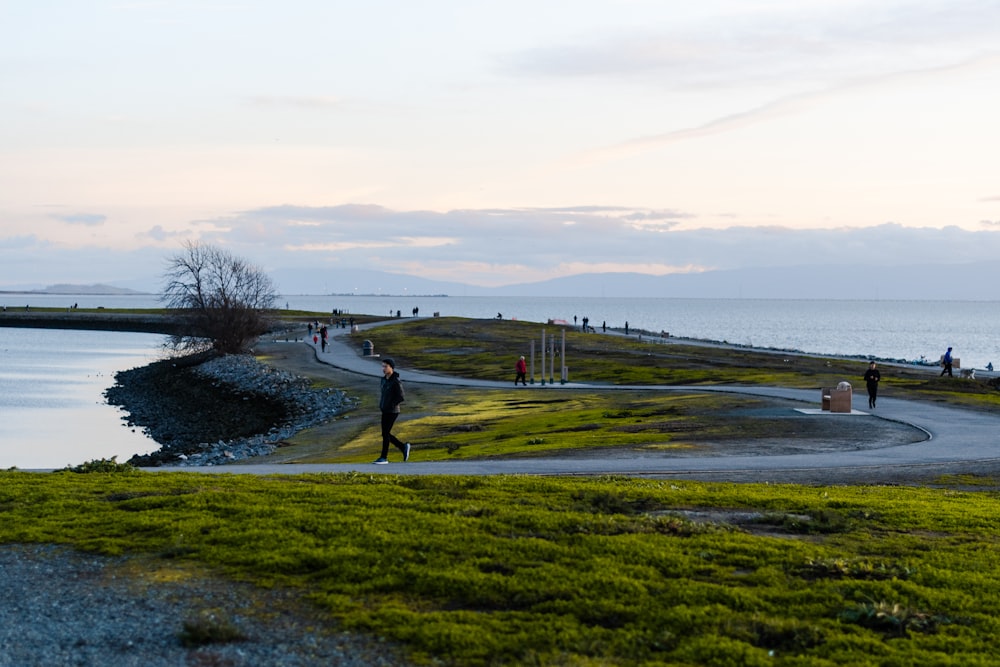 person walking on green grass field near body of water during daytime