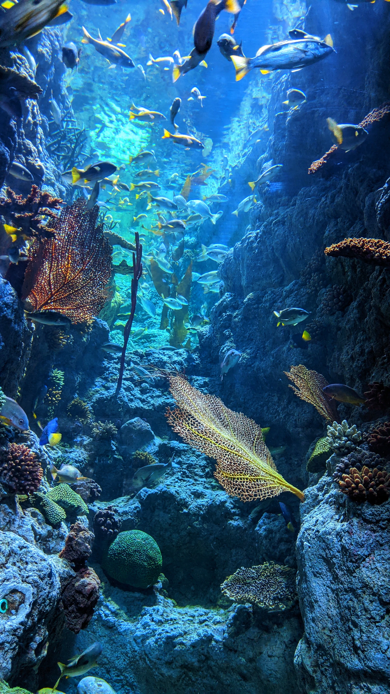 AI Reception for Course Inquiries: Help New Divers Feel Confident Before They Book