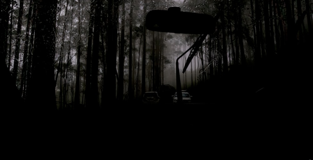 grayscale photo of a car in the forest
