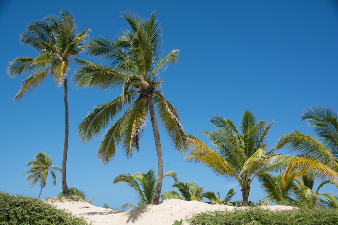 travelers stories about Body of water in Punta Cana, Dominican Republic