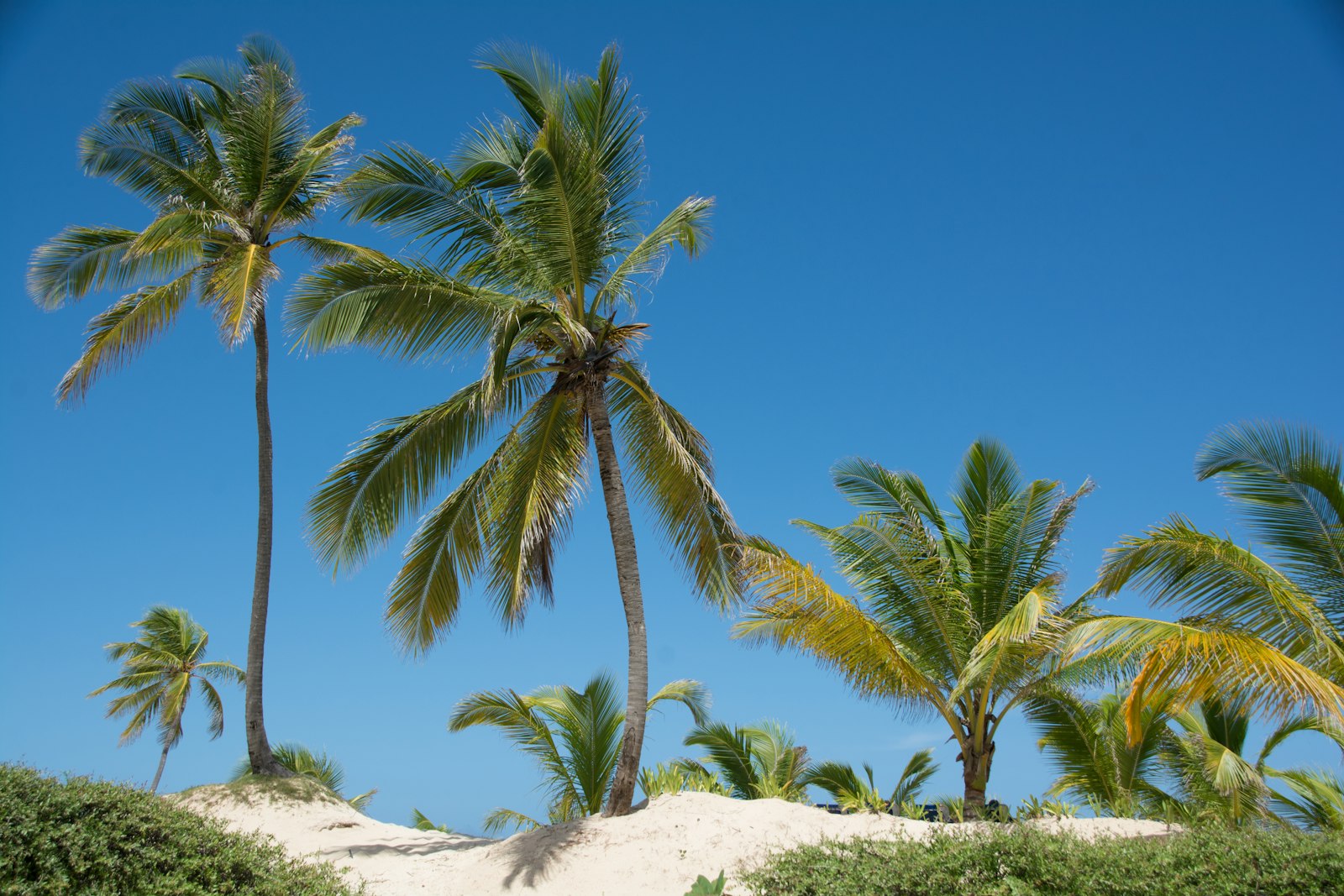 Cancún vs Punta Cana: Which Winter-Sun Coast Should You Book for December?