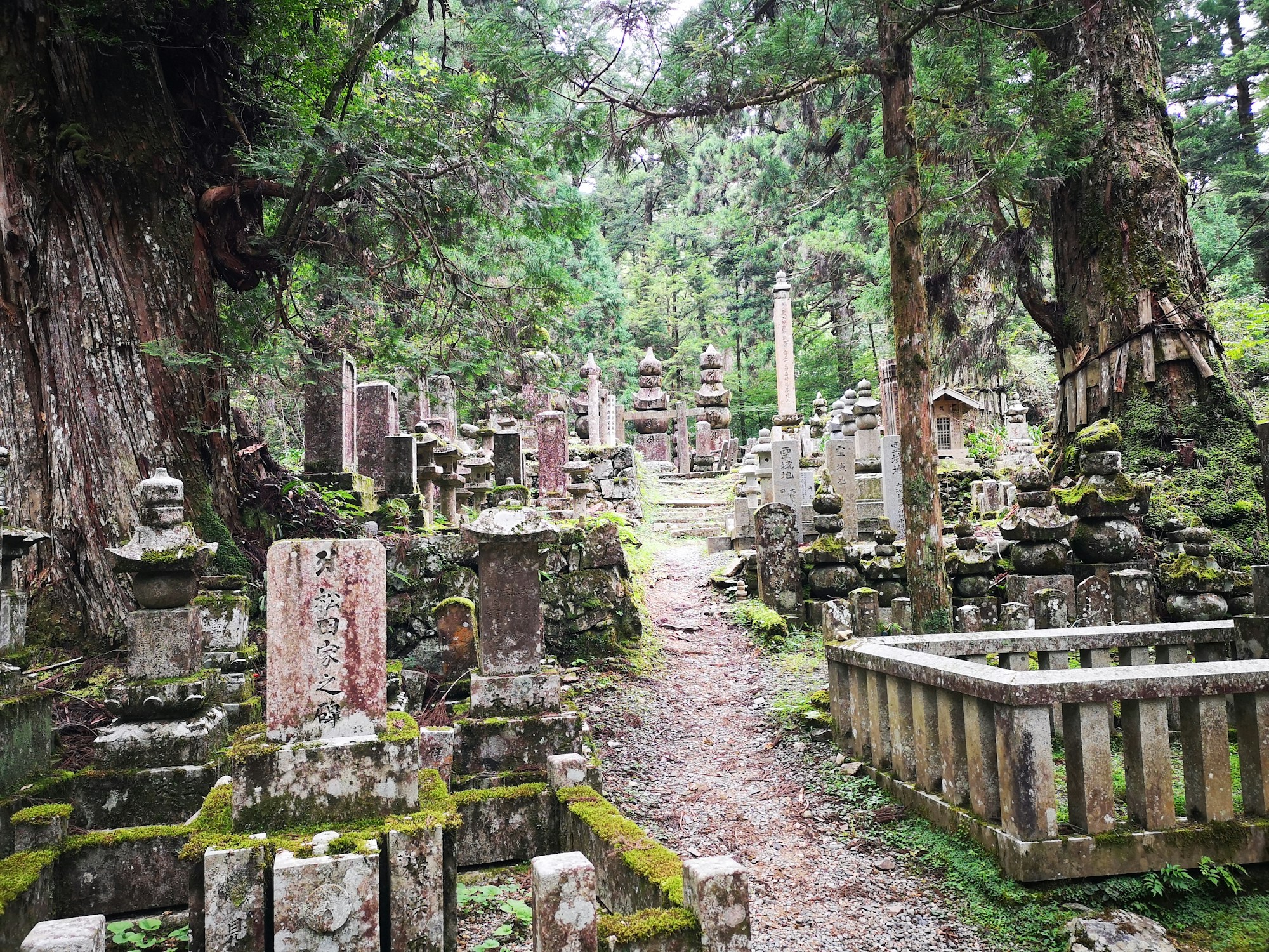 What to See in Ito: Travel Guide for Exploring This Charming Town