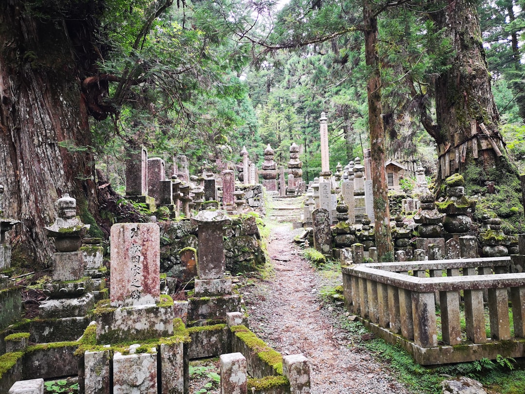 Ruins photo spot Koya Nara