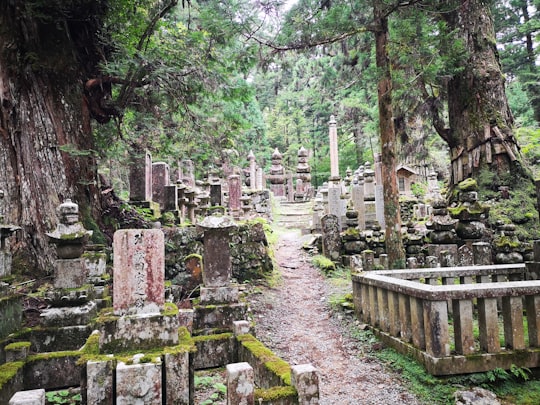 gray concrete blocks on forest during daytime in Koya Japan