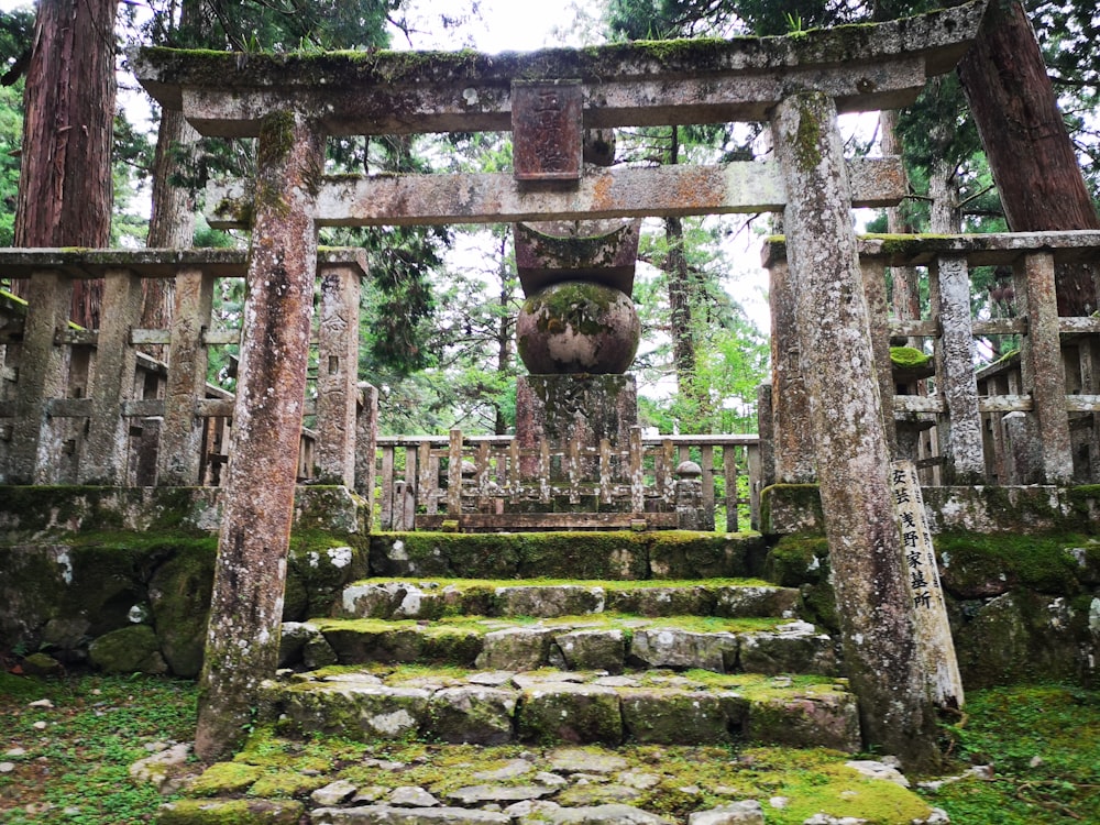 Scala in cemento marrone circondata da alberi verdi durante il giorno