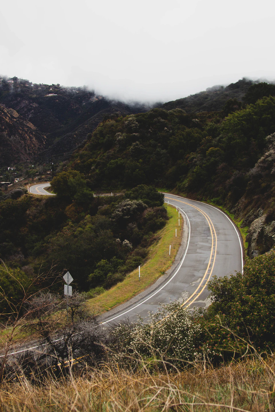 The image depicts a winding road cutting through a lush, green landscape. The road curves gently to the right and is flanked by an array of trees on both sides. The sky above is overcast, casting a soft light over the scene. In the foreground, there are bushes and shrubs that add depth and texture to the image.