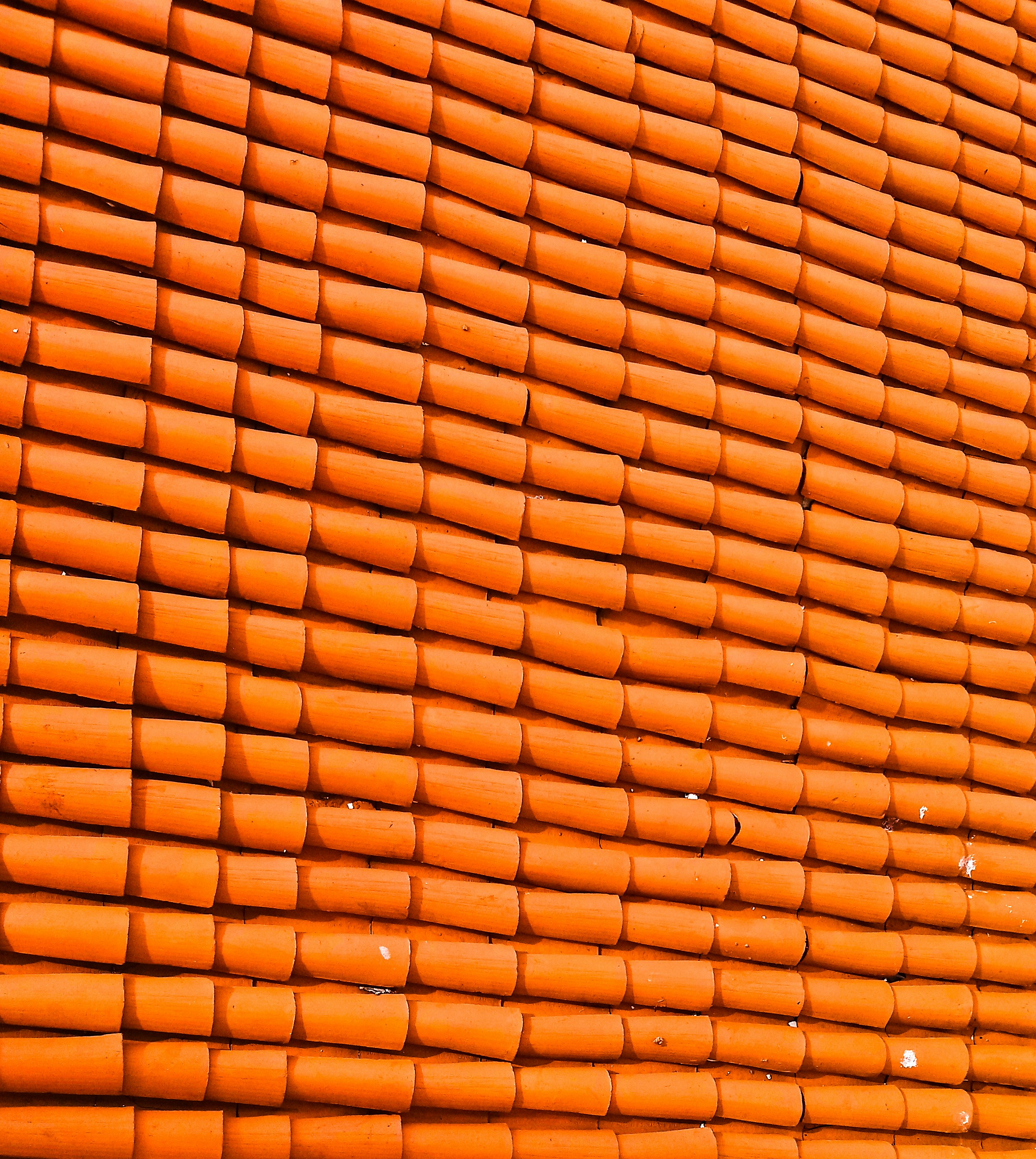 Photo by nisuda_nirmantha