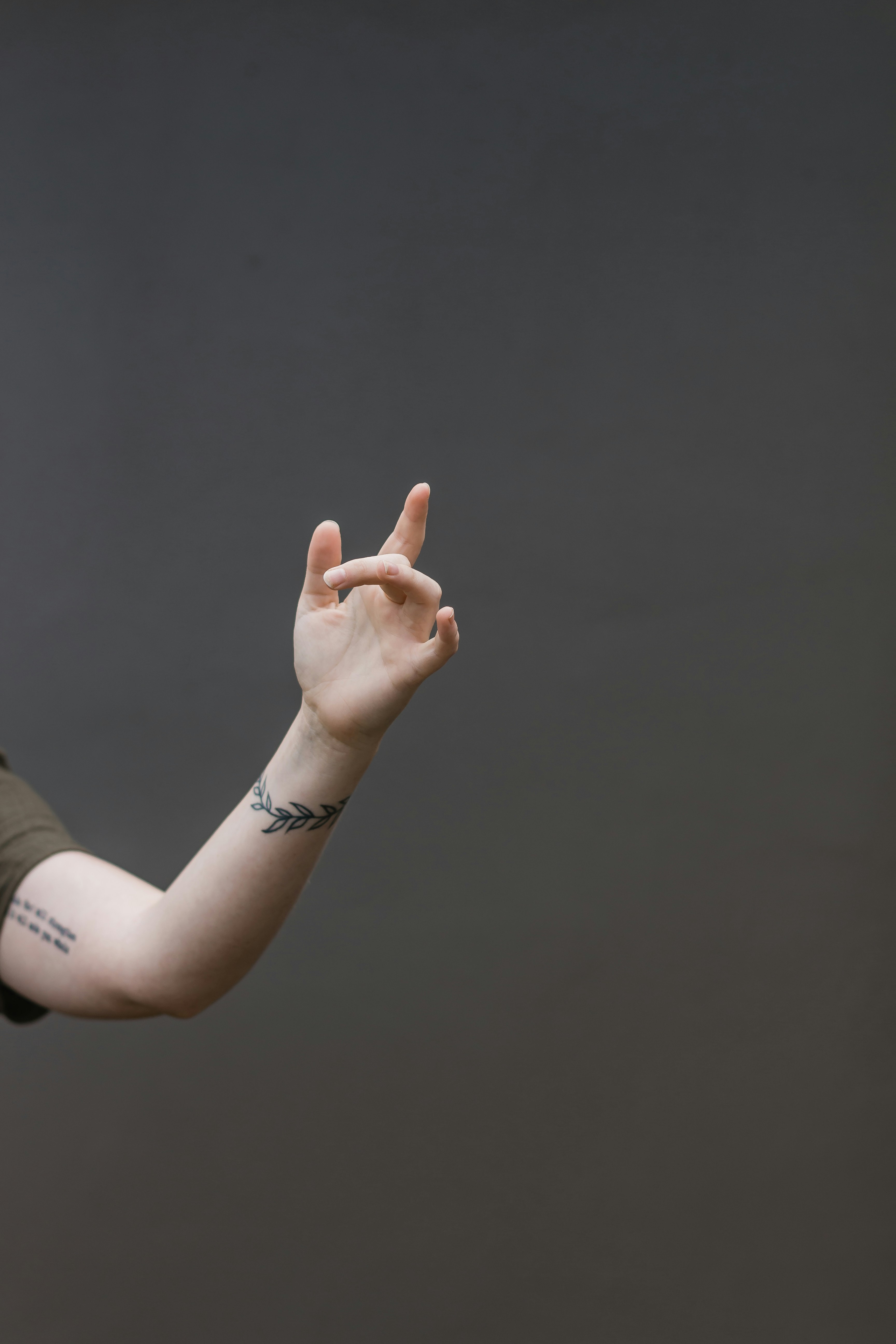 photo-1580027297269-77b95db3ed6d?ixid=M3wxMjA3fDB8MXxzZWFyY2h8N3x8b2N0b3B1cyUyMGFybSUyMGRpbGRvfGVufDB8fHx8MTcwODg3Mjc2N3ww\u0026ixlib=rb-4.0.3