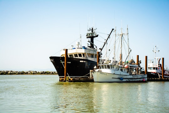 black and white boat on sea during daytime in Steveston Canada