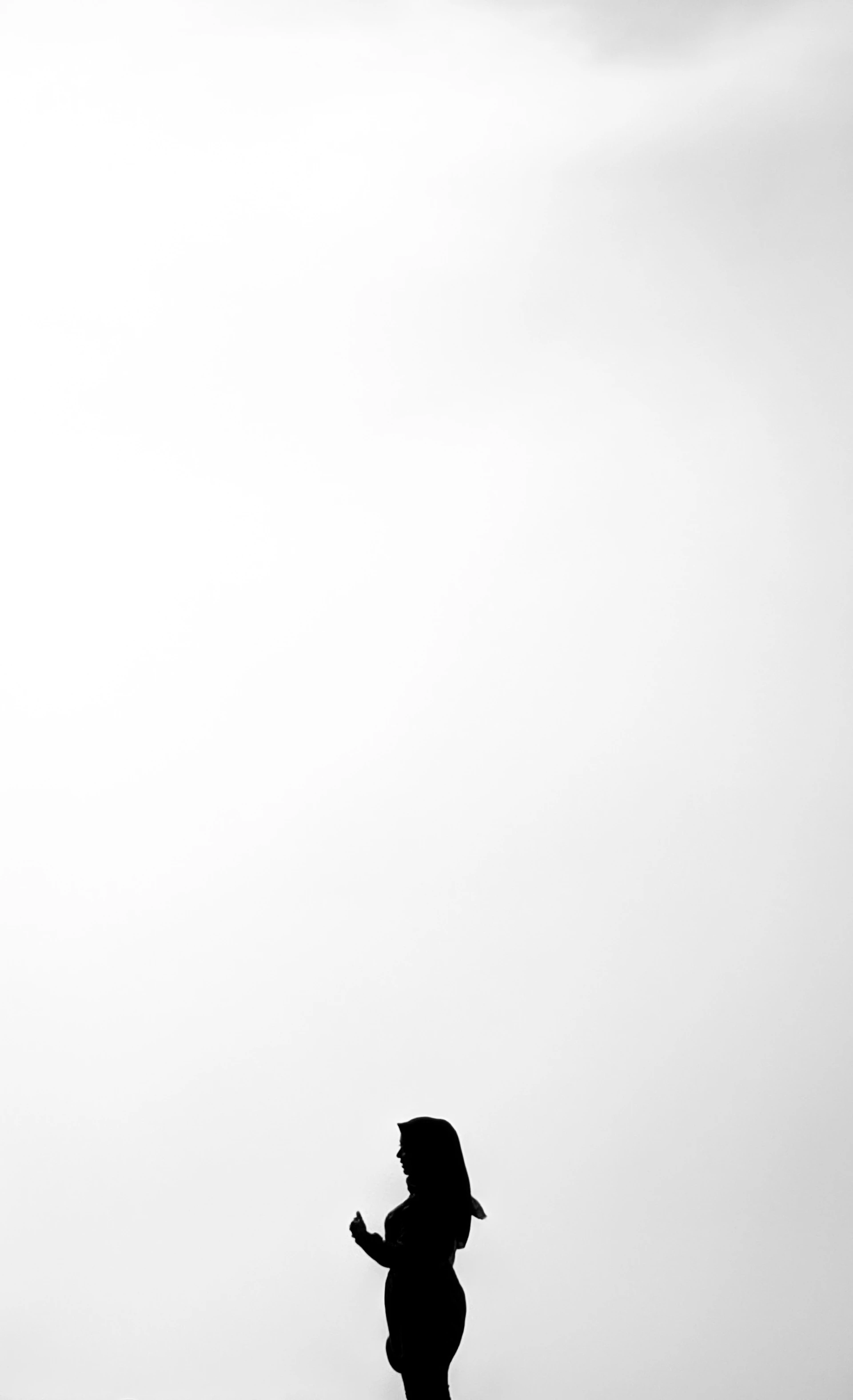 black bird on white background