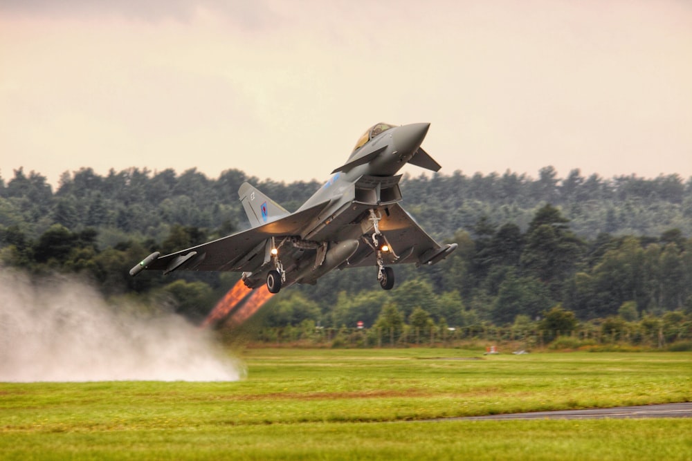 Avión a reacción negro en un campo de hierba verde durante el día