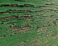 Close-up of paintbrush strokes on a weathered wooden surface being restored.